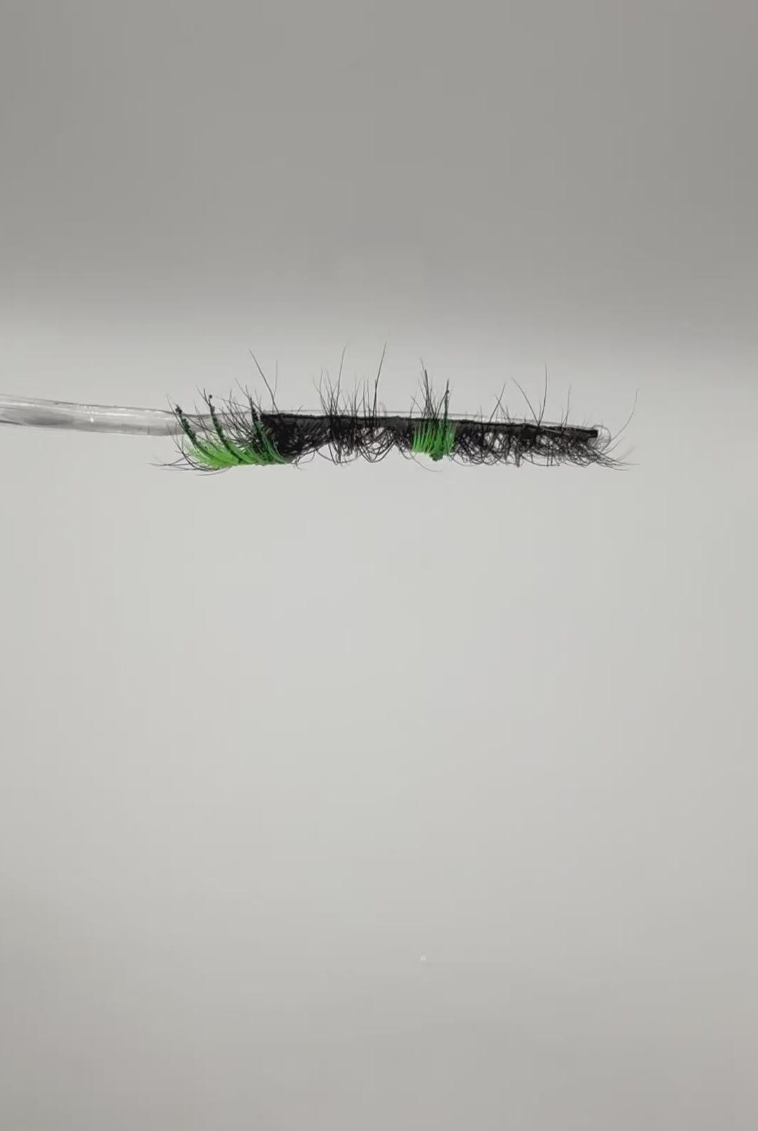Fairy Wings